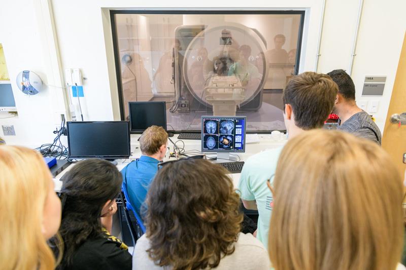 Students look at brain scans