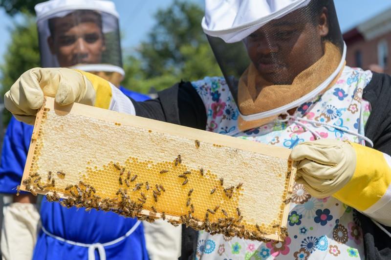 Student holds frame of honey and bees