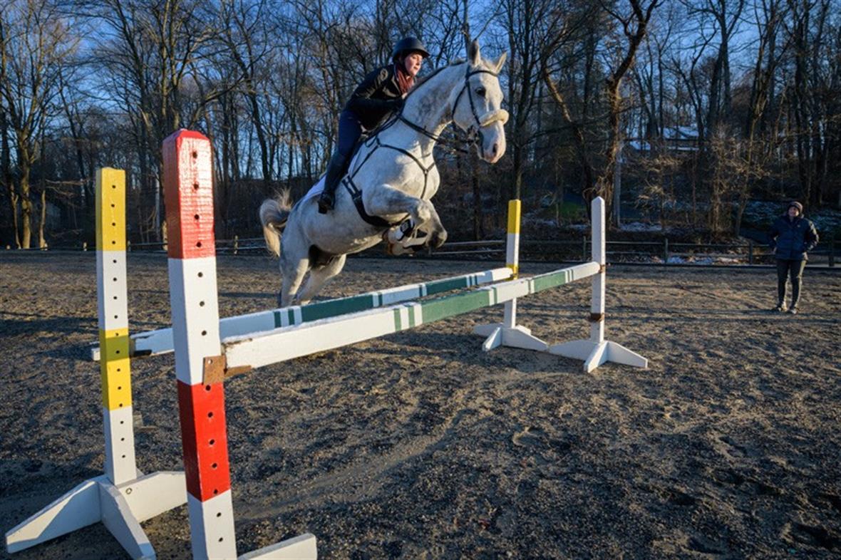 Horse and rider jumping a fence