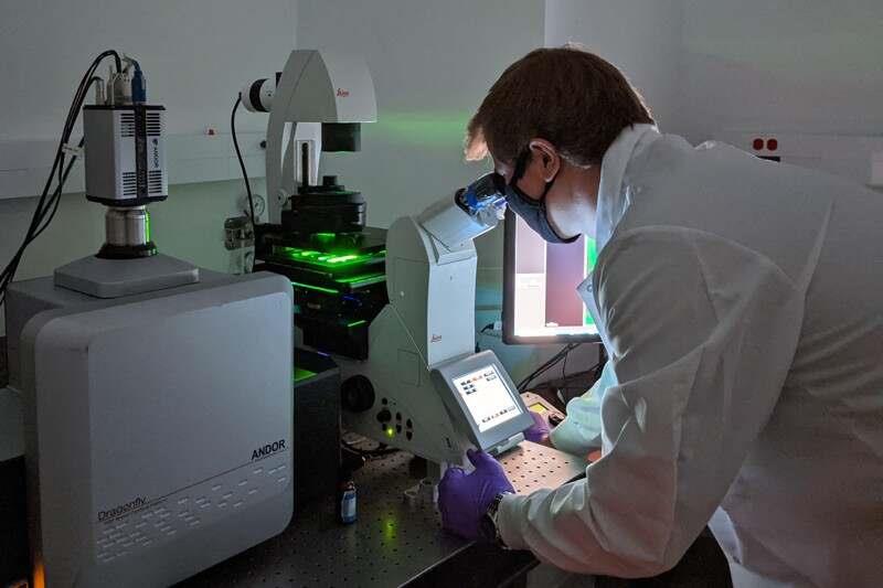 Researchers looking into microscope