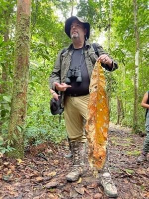man holding large leaf