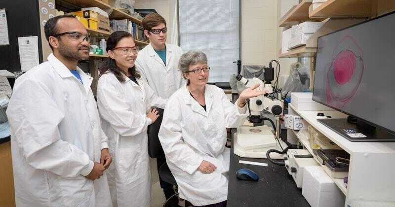 Melinda Duncan and students in her lab