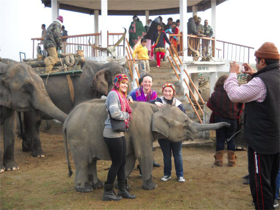 Students standing with elephant